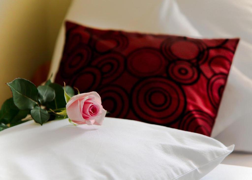 Hotel Cieszynski Centrum Cieszyn  Eksteriør billede